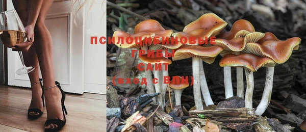 Альфа ПВП Абдулино