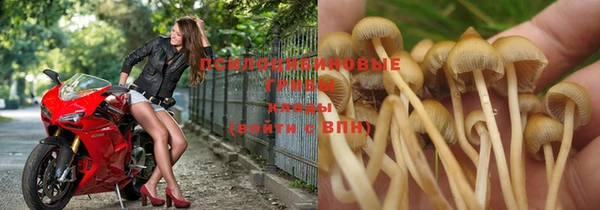 Альфа ПВП Абдулино